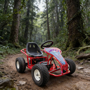 Manèges de parc d'attractions, karting électrique à 4 roues tout-terrain, karting miniature pour enfants et adultes, karting à dérive pour l'aventure en plein air - Product Image 1