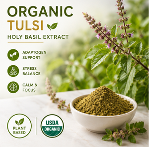 Ekstrak Basil Suci (Tulsi) 2% Asam Ursolat Bubuk Organik - Label Pribadi Ekstrak Daun Terstandardisasi Kemasan Drum Kelas Makanan