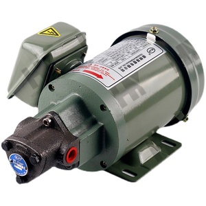 Triangular Cycloidal Pump Motor 220V Oil Gear Pump TOP 12A Machine Tool Lubrication - Product Image 1