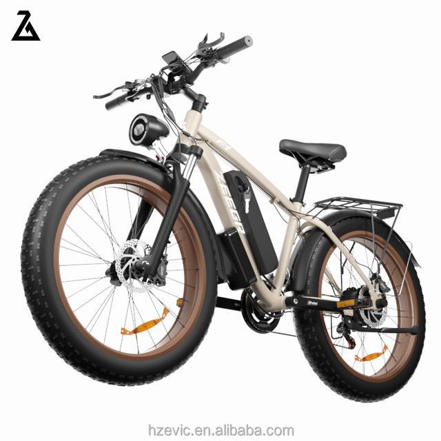 Chinese Pedal Assist Electric Bicycle 50Km/H Ebike Motor 1000W Fat Tire Electric Bike