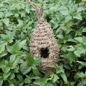 Nid d'oiseau en paille fait main, elliptique, taille moyenne, pour oiseaux de compagnie, décoration de jardin, artisanat du Fujian - Product Image 3