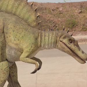 Costume de <span class=keywords><strong>dinosaure</strong></span> Spinosaurus animatronique <span class=keywords><strong>interactif</strong></span> réaliste pour les activités des centres commerciaux, dinosaures du parc jurassique - Product Image 3