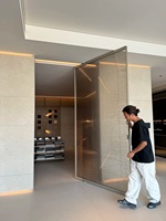 Porte d'entrée pivotante centrale moderne en verre avec cadre en acier inoxydable et aluminium, étanche et à isolation thermique pour usage commercial extérieur