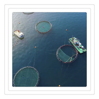 Système d'équipement d'aquaculture flottante circulaire, cages d'élevage de truites arc-en-ciel