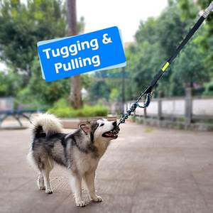 Juguete Colgante Elástico para Perros, Juguete Interactivo de Tirar para <span class=keywords><strong>Pitbull</strong></span> y Perros Pequeños a Grandes para Ejercicio y Juego Individual - Product Image 5