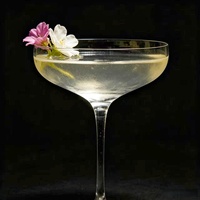 Verre à cocktail en cristal, style japonais classique, en forme de soucoupe peu profonde, à large ouverture, sans pied, capacité 201-300 ml