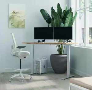 NBHY Modern Furniture Adjustable Height Electric Standing <b>Desk</b> Convertible Sit-Stand up <b>Computer</b> <b>Desk</b> - Product Image 1