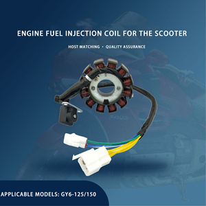 Nuevo Pedal Scooter GY6 -125 / 150cc Inyección de combustible National IV <span class=keywords><strong>Magneto</strong></span> de 12 polos Bobina de encendido DUOGAO - Product Image 3