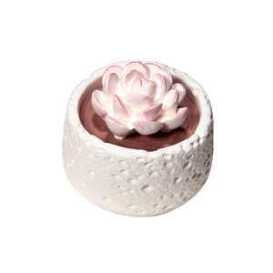 कारखाने प्रत्यक्ष फ्लैमेलेस एरोमाथेरेपी रसीले पोटेड प्लांट सजावटी रचनात्मक रेड डिफ्यूज़र घर के रहने वाले कमरे के लिए सोया मोम सेट - Product Image 6