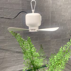 Ventilateur de plafond intelligent silencieux à moteur sans balais, mini, moderne, à pales détachables, idéal pour le camping – Vente directe usine - Product Image 3