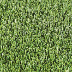 หญ้าเทียม PG-29-XL-24เป็นมิตรกับสิ่งแวดล้อมทนทานต่อไฟสนามหญ้าสำหรับการจัดสวนและกลางแจ้ง/ในร่มมี100สีให้เลือก - Product Image 6