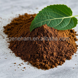 Poudre d'extrait de feuille de mûrier de qualité alimentaire biologique, complément alimentaire naturel à base de plantes DNJ pour la santé, provenant d'une source écologique - Product Image 1