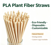 Pailles jetables biodégradables personnalisables en fibres végétales PLA et bagasse pour café, jus, bars et fêtes