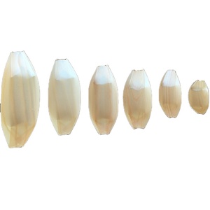 Assiette <span class=keywords><strong>en</strong></span> <span class=keywords><strong>bois</strong></span> biodégradable jetable de 6 pouces <span class=keywords><strong>en</strong></span> forme de bateau <span class=keywords><strong>avec</strong></span> <span class=keywords><strong>couvercle</strong></span> sans danger pour le réfrigérateur et pour les hôtels, le camping et le plateau <span class=keywords><strong>en</strong></span> <span class=keywords><strong>bois</strong></span> pour sushis - Product Image 1