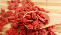 Fabrieksleverancier van wolfberry poeder, goji poeder, goji bessen poeder