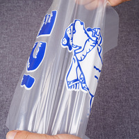 Sacs à glace jetables transparents en PE de qualité alimentaire avec cordon de serrage, tailles personnalisables, impression sérigraphique, vente en gros pour fabricants
