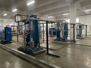 Generatore di Ossigeno PSA 95%-99.999% per Allevamenti Ittici con Compressore d'Aria e PLC Certificato CE - Product Image 4