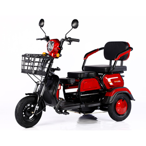 Venta al por Mayor de Triciclo Eléctrico de 600W 1000W, 3 Ruedas, 48V 20Ah, para Adultos, Modelo ALQ-ETC60038-xuanku - Product Image 1