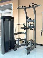 Máquina de Dominadas Asistidas Comercial SF90 008 con Selector para Gimnasio