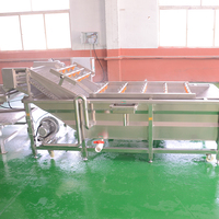 Automatische Aardappelpeer Sinaasappeltomatenreinigingsmachine Groentefruitreinigingsmachine