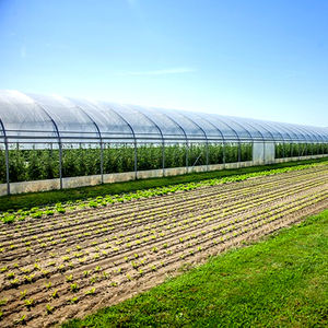 Haute Production Agriculture Concombre Plantation Intelligent Film Single Span Green House Avec Système D'ombrage - Product Image 1