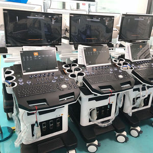 Beberapa Probe 3D 4D Digital Vet <span class=keywords><strong>ultrasound</strong></span> <span class=keywords><strong>Scan</strong></span> warna Doppler mesin <span class=keywords><strong>Ultrasound</strong></span> troli dokter hewan <span class=keywords><strong>ultrasound</strong></span> - Product Image 4