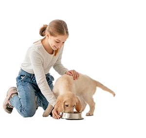 Coussin absorbant pour chien, fournitures pour animaux de compagnie, coussin d'apprentissage pour chat, coussin absorbant pour lapin, hamster, fabricant de coussin absorbant - Product Image 2