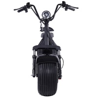 Scooter Eléctrico Clásico de 1500W, Económico, de 2 Plazas, Citycoco, con Dos Ranuras para Baterías de Litio Extraíbles
