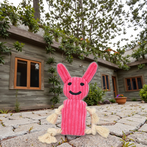 <span class=keywords><strong>Dog</strong></span> <span class=keywords><strong>Chew</strong></span> đồ chơi cho Puppy Puppies mọc răng <span class=keywords><strong>Chew</strong></span> đồ chơi cho sự nhàm chán Pet <span class=keywords><strong>Dog</strong></span> bàn chải đánh răng nhai đồ chơi với dây thừng - Product Image 1