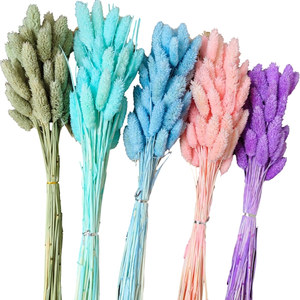 Hierba de Gema Real para Arreglos Florales y Creación de Ramos/Bouquets, <span class=keywords><strong>Phalaris</strong></span> Seca para Decoración del Hogar y Graduaciones - Product Image 1