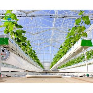 Support galvanisé haute résistance serre <span class=keywords><strong>fraise</strong></span> tomate plantation verticale culture <span class=keywords><strong>gouttière</strong></span> en plastique systèmes de culture - Product Image 1