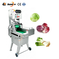 Multifunctionele groentesnijder, bladgroentesnijder, spinaziesnijmachine, roestvrijstalen koolsnijmachine
