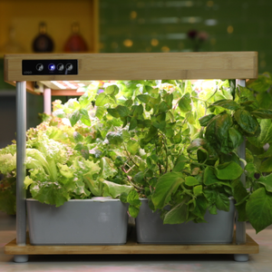 Sistema Hidropónico Inteligente con Lámpara <span class=keywords><strong>de</strong></span> Crecimiento para Plantas <span class=keywords><strong>de</strong></span> Bambú Jardín Hidropónico Inteligente para Escritorio <span class=keywords><strong>de</strong></span> Oficina Interior - Product Image 6