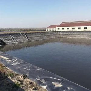 Yüksek Performanslı 1mm HDPE Geomembran, Açık Hava Balık Yetiştiriciliği İçin Yüksek Jeoteknik Güçlendirme - Product Image 3