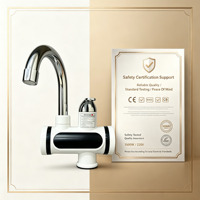 Robinet d'eau chaude électrique sans réservoir OEM 3500W, étanche IPX4, avec affichage LED, température constante, économie d'énergie, en plastique, pour usage domestique