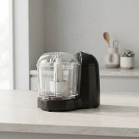 Hachoir alimentaire portable 2-en-1 120W CH-1101N Mini robot culinaire électrique USB-C en plastique pour la découpe de viande à domicile