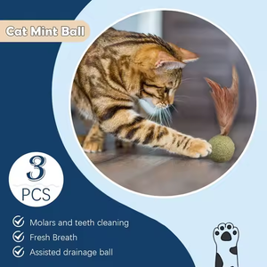 لعبة كرات النعناع البري المضغوطة الطبيعية لعبة الحيوانات الأليفة متينة ومستدامة لتحفيز القطط لأصحاب الأسماك - Product Image 4