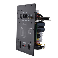 Amplificateur de plaque numérique en métal pour subwoofer 300W |   Amplificateur domestique avec module d'amplification de basses de classe D à faible bruit et panneau arrière
