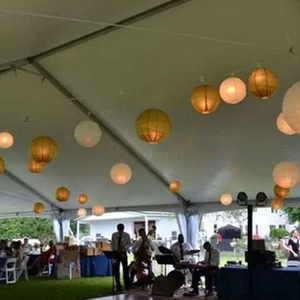 Carpa Comercial para Eventos al Aire Libre, Carpa para Eventos con Capacidad para 100 Personas, Carpa para Bodas, Carpa para Fiestas, Carpa Tipo Atrio - Product Image 2