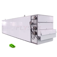 Fabrieksdirecte verkoop groene paprika drooginstallatie met transportband fruitdroger machine groentedroger