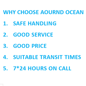 Профессиональный Китайский агент по доставке; FCL/LCL/от двери до двери из Китая в Бременную, Германия - Product Image 6