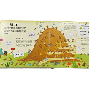 Libro de impresión de libro de tablero para niños <span class=keywords><strong>en</strong></span> <span class=keywords><strong>3D</strong></span> estereoscópico personalizado para cuento de niños con libro de tablero de papel de tapa dura - Product Image 2