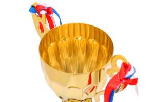 निर्माता कस्टम फुटबॉल बास्केटबॉल खेल ट्रॉफी कस्टम धातु स्वर्ण पुरस्कार क्रिकेट ट्रॉफी कप - Product Image 5