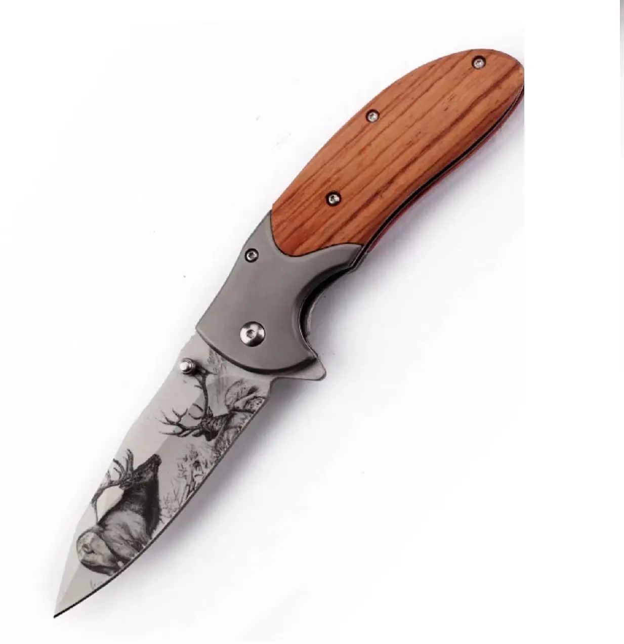 Outdoor Adventure Camping Hunting Folding animal cool Knife