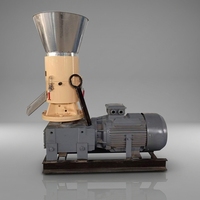 Machine de fabrication de granulés de biomasse à entraînement par réducteur à économie d'énergie pour la production de granulés de biocarburant à partir de sciure de bois et de balles de riz pour usage domestique et agricole