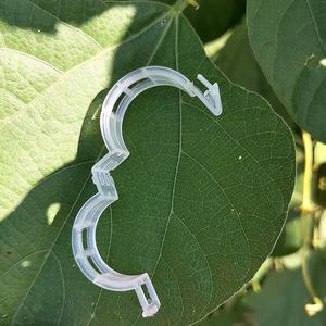 Clips <span class=keywords><strong>de</strong></span> tomates et crochets <span class=keywords><strong>de</strong></span> support pour plantes en plastique blancs, petits, ronds, anti-UV - Clips <span class=keywords><strong>de</strong></span> vigne durables pour serres - Product Image 5