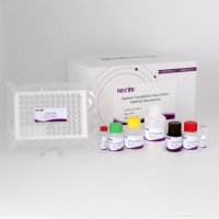 Kit japonais d'essai d'anticorps du virus de l'encéphalite (JEV) ELISA pour le porc-ISO certifié