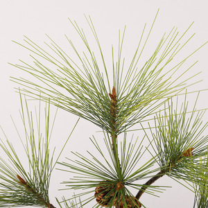 Ramas de Pino Artificiales, 7 Ramas con Agujas Verdes y Conos, Decoración Navideña, Accesorios para Bodas, Material Plástico de Alta Simulación - Product Image 2