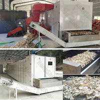 Doorlopende Transportband Gaasband Type Fruitdroger Machine Gedroogde Guave Pruimen Palm Dadelfruit Drogen Productielijn