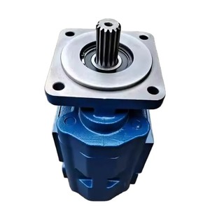 Chine Liugong chargeur Double pompe à engrenages 11C0191 pièce de machines de construction hydraulique à l'huile - Product Image 2